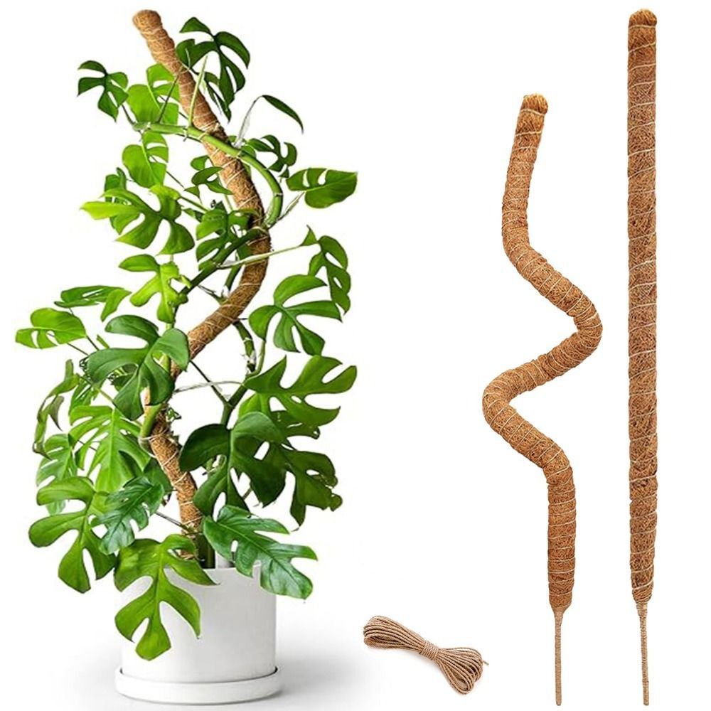 Sphagnum Moss Dry - Plant Support Bendable Moss Pole Natural