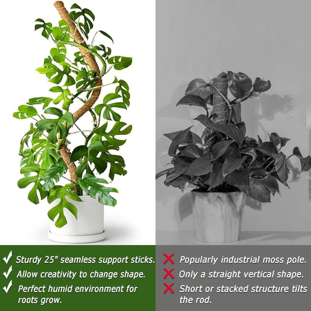 Plant Support Bendable Moss Po - đánh giá và giá Sphagnum Moss Dry