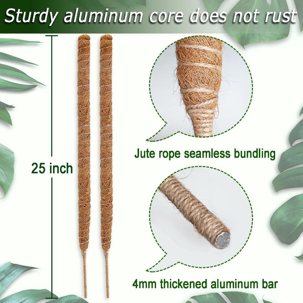 Plant Support Bendable Moss Po - đánh giá và giá Sphagnum Moss Dry