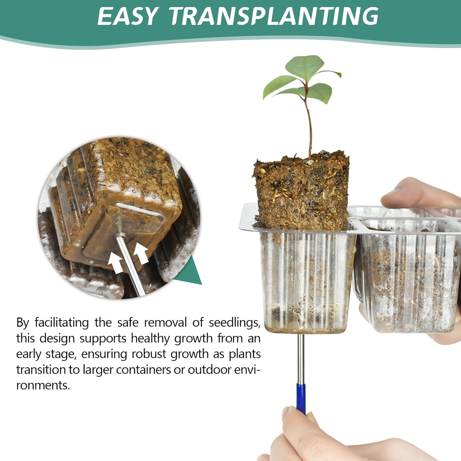 Elevated Seedling Starter Tray - đánh giá và giá Humidity Dome Kit