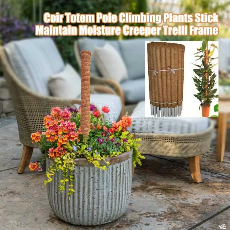 30/40/50cm Plant Climbing Coir - đánh giá và giá Sphagnum Moss Dry
