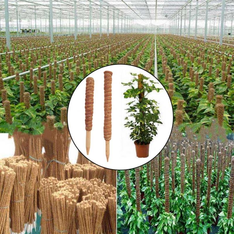 30/40/50cm Plant Climbing Coir - đánh giá và giá Sphagnum Moss Dry