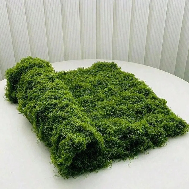Artificial moss for micro-land - đánh giá và giá Sphagnum Moss Dry